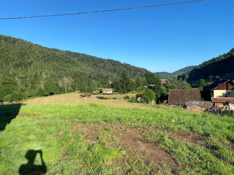 Appartement 5 Personnes Avec Espace Plein Air Saint-Maurice-sur-Moselle Dış mekan fotoğraf