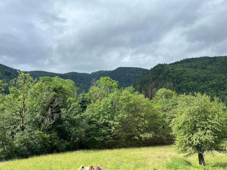 Appartement 5 Personnes Avec Espace Plein Air Saint-Maurice-sur-Moselle Dış mekan fotoğraf